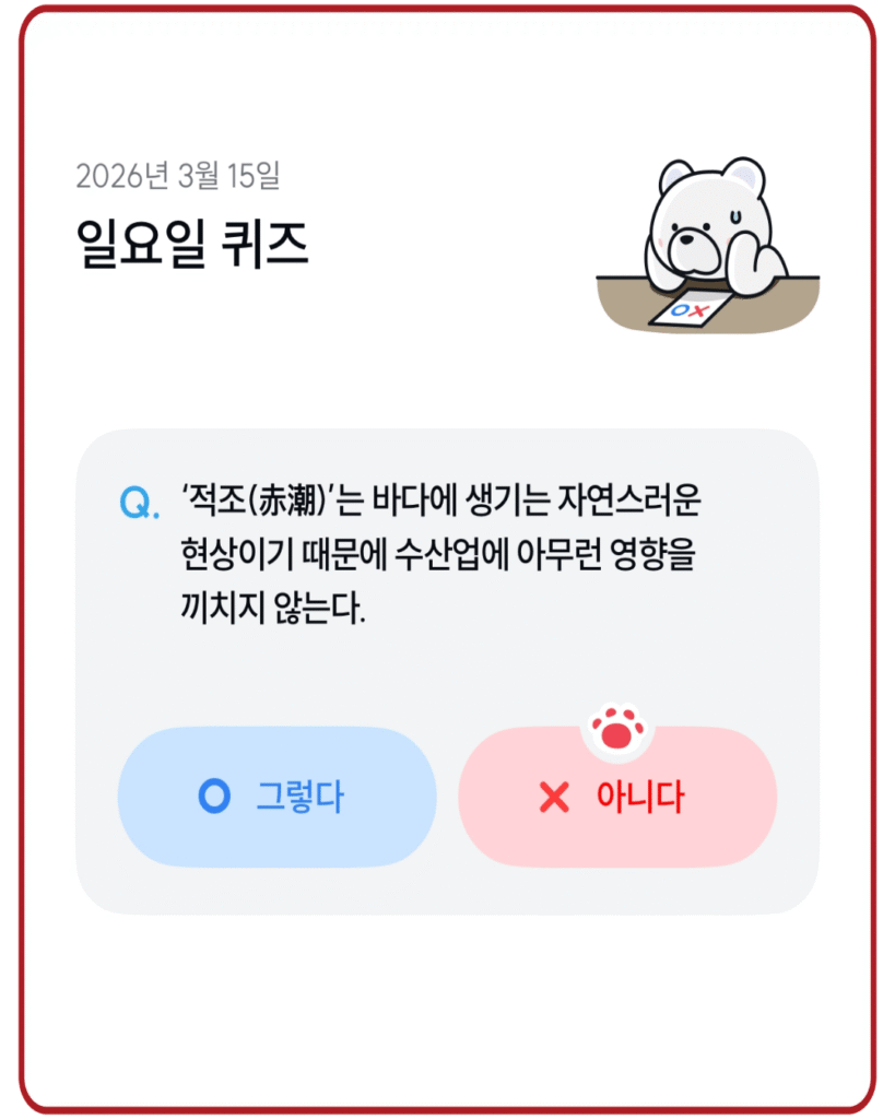 아니다